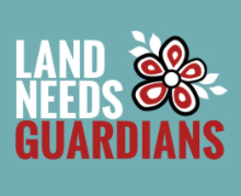 Land Needs Guardians 2 logo